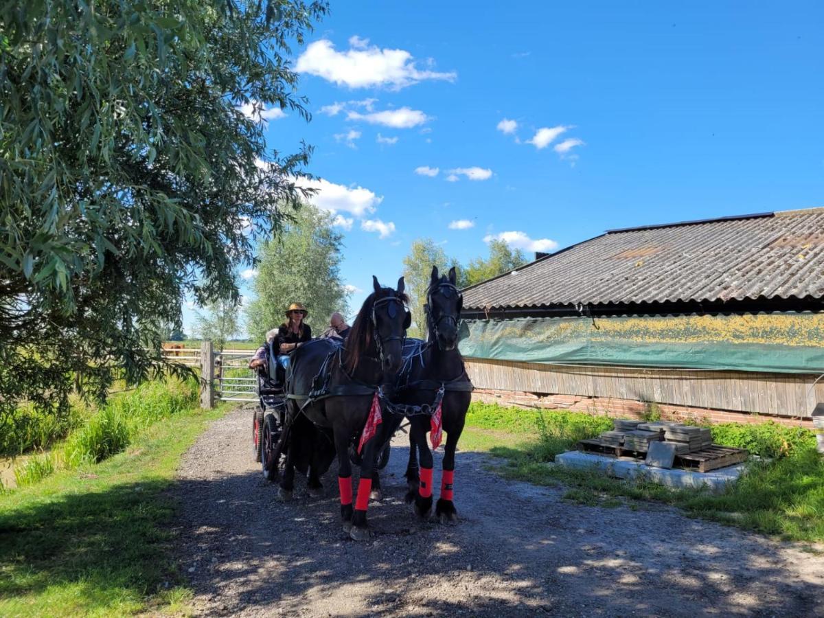 De Huifkar, Trekkershut Bij Sneek Hotel Hommerts Екстериор снимка