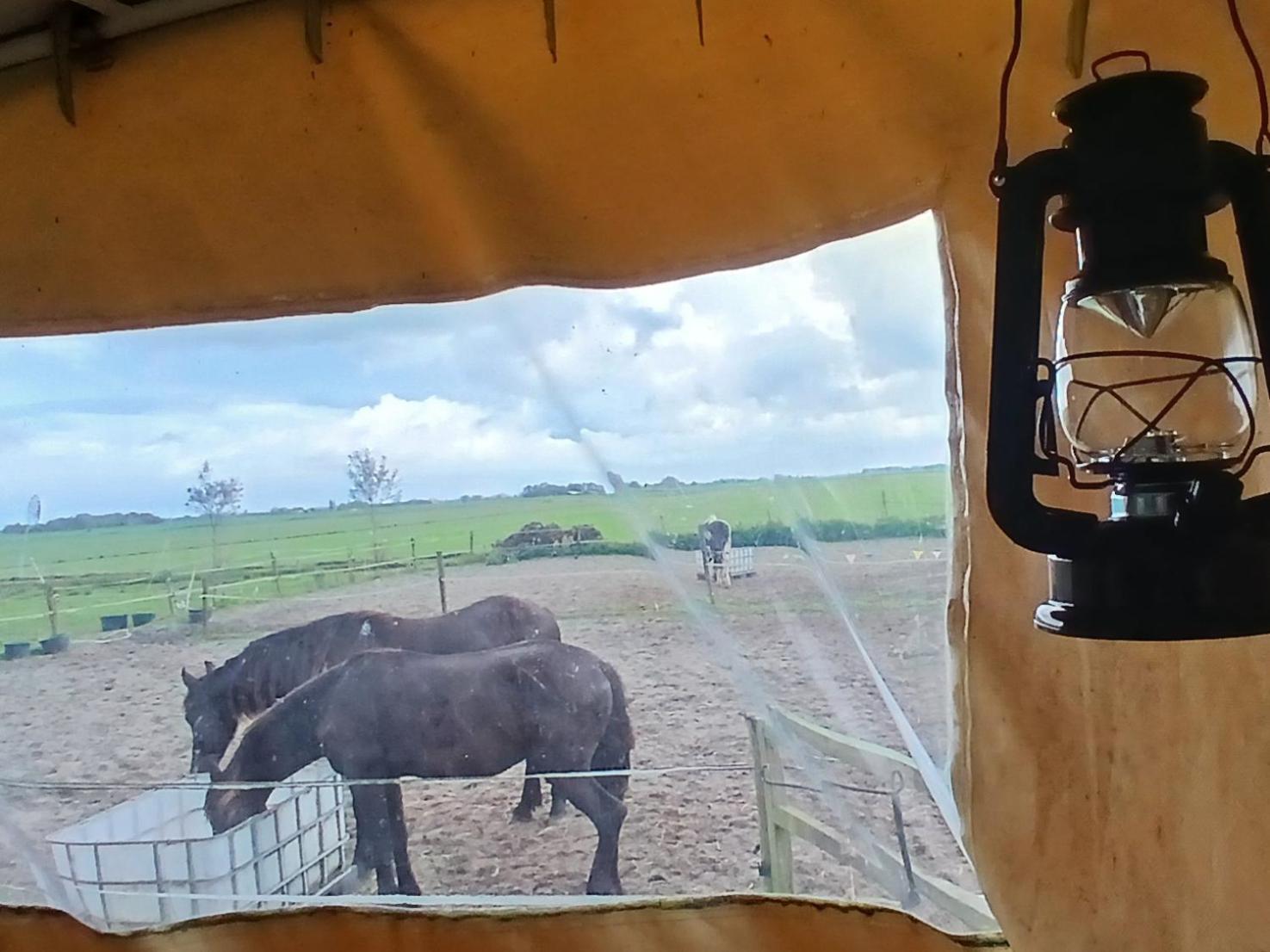 De Huifkar, Trekkershut Bij Sneek Hotel Hommerts Екстериор снимка