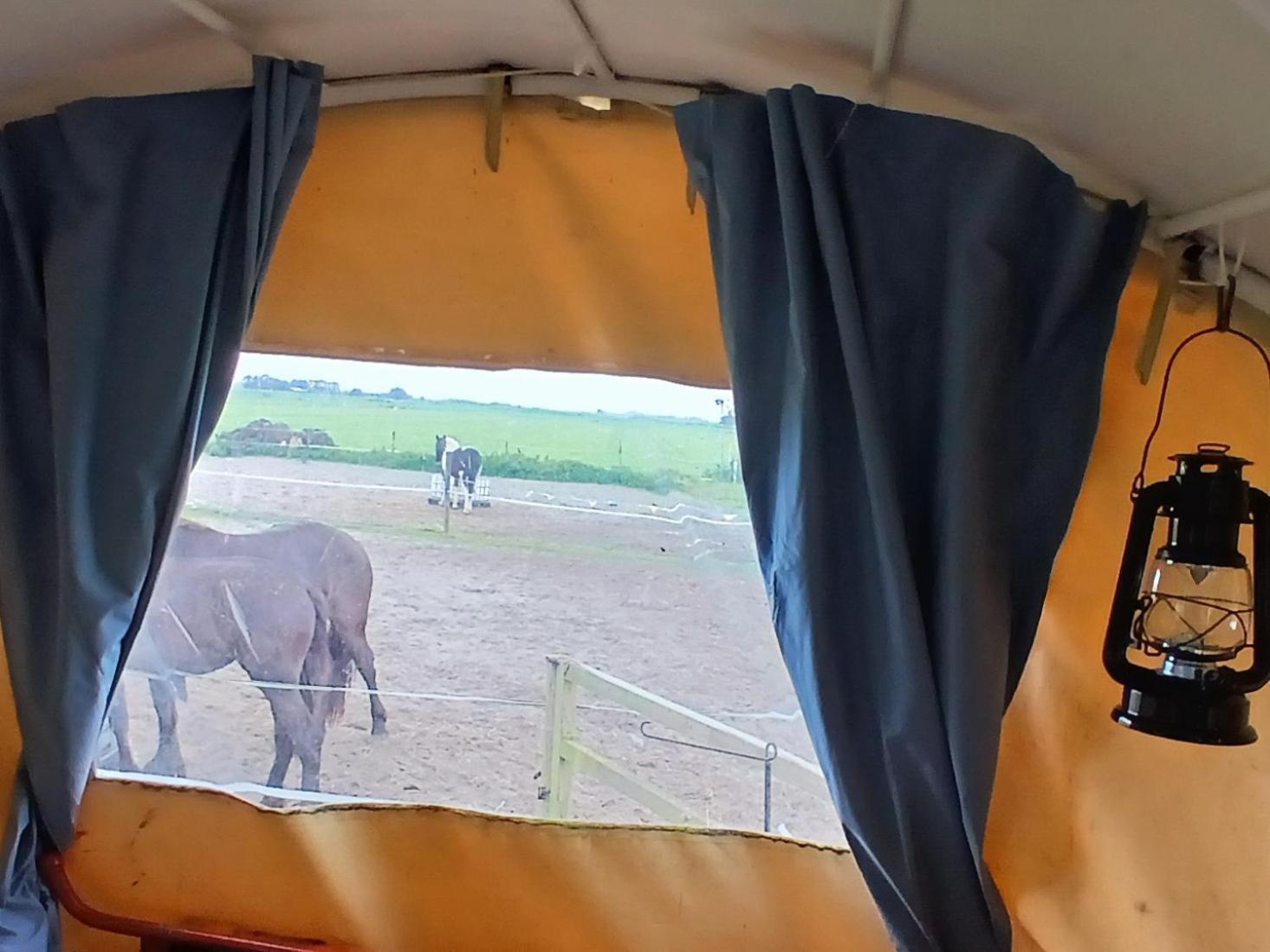De Huifkar, Trekkershut Bij Sneek Hotel Hommerts Екстериор снимка